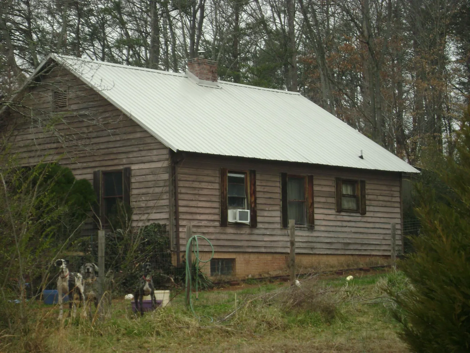 White metal roof on an old wood sided farmhouse, from a Asphalt Shingle Roof Repair job in Drain